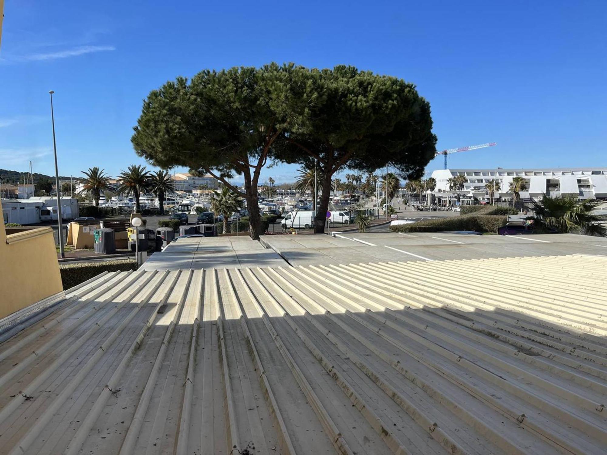 Studio Naturiste Avec Parking Au Cap D'Agde, Proche Plage - Fr-1-249A-15 Apartment Exterior foto